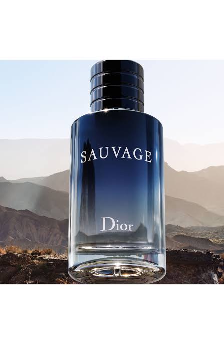 Christian Dior Sauvage Eau De Toilette Spray For Men, 100ml